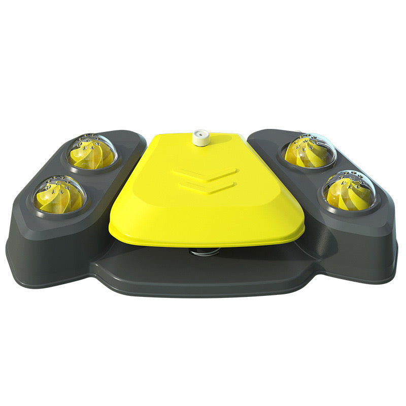Pet Drinking Fountain & Splash Toy