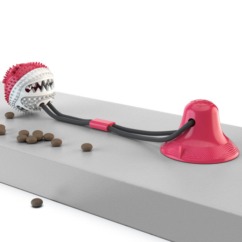 Pet Molar Chew Toy