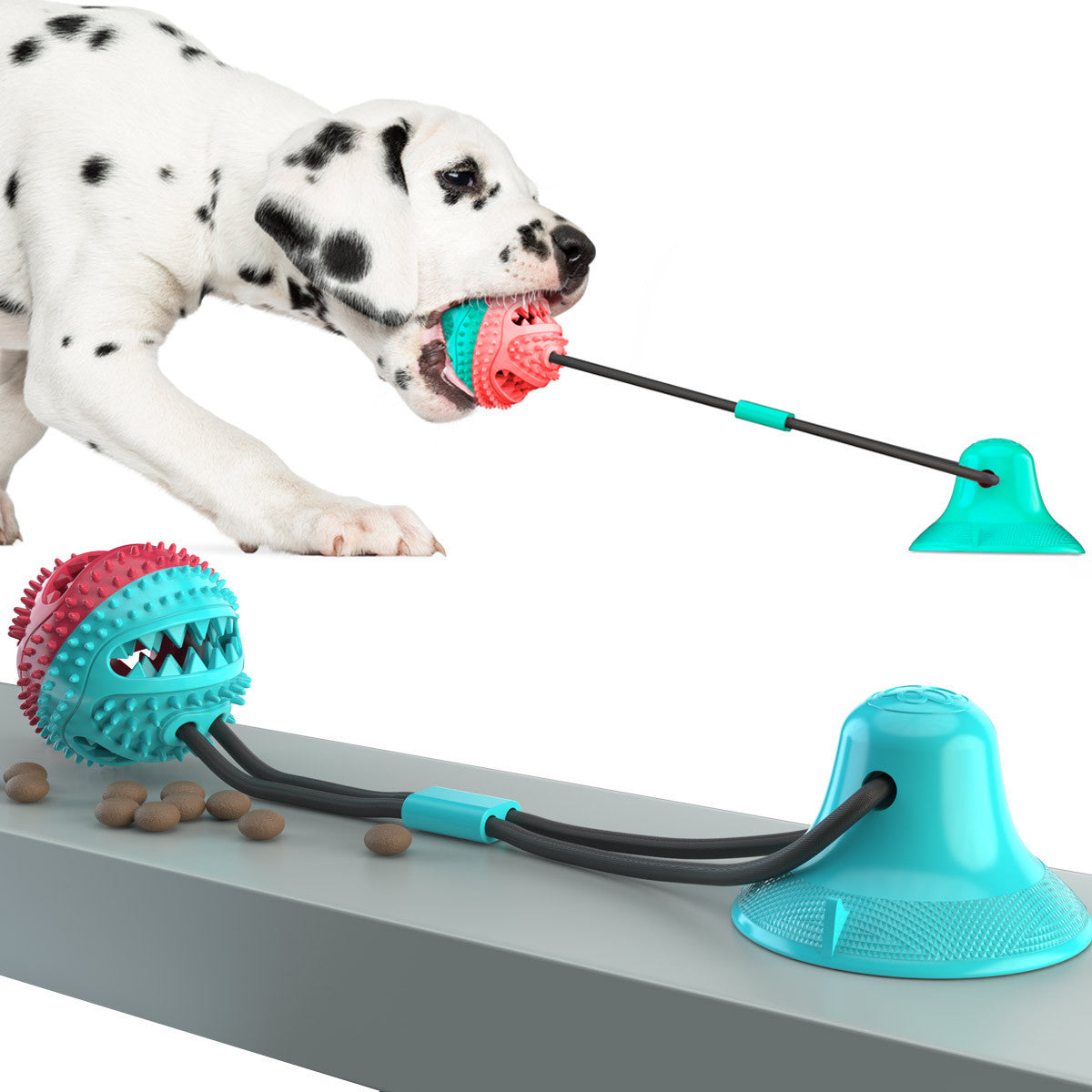 Pet Molar Chew Toy
