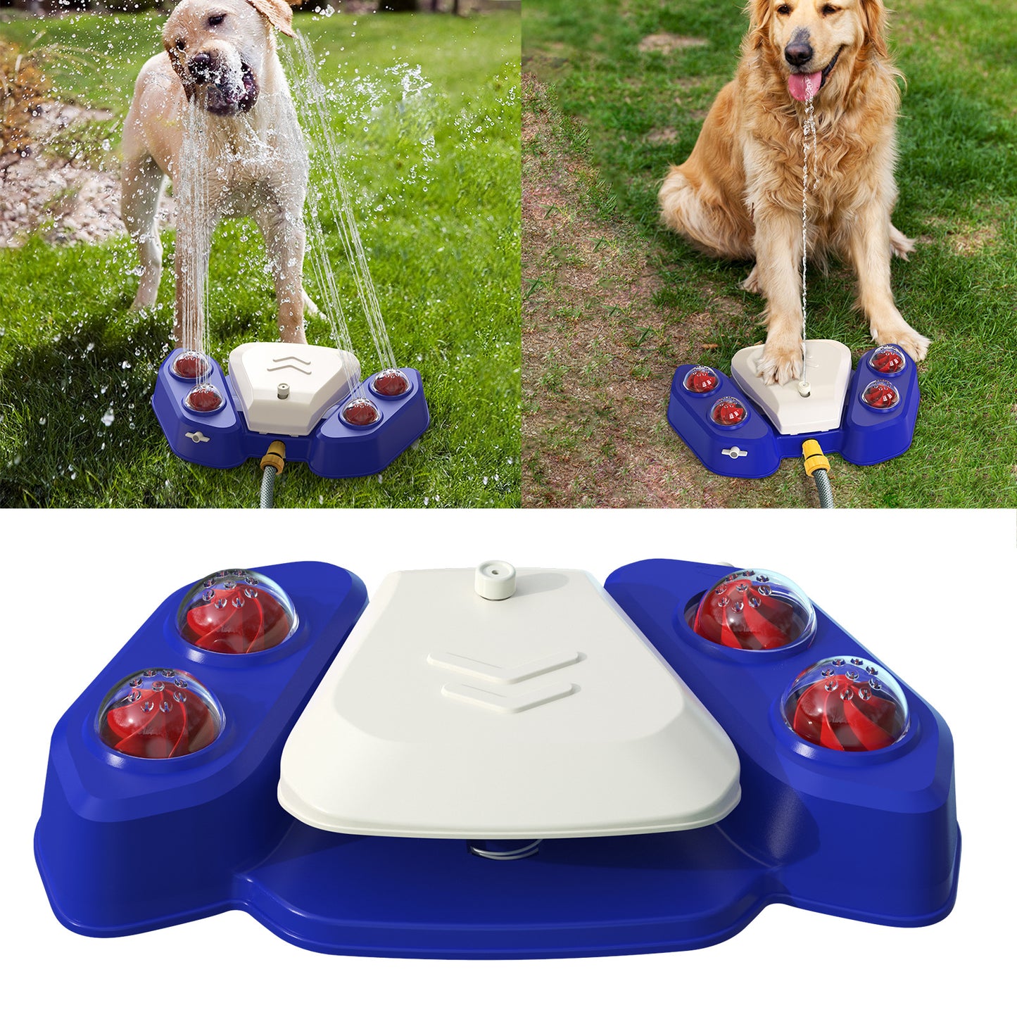 Pet Drinking Fountain & Splash Toy