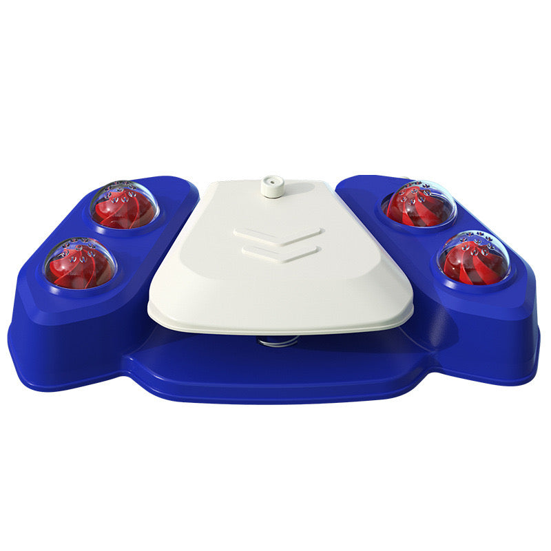 Pet Drinking Fountain & Splash Toy