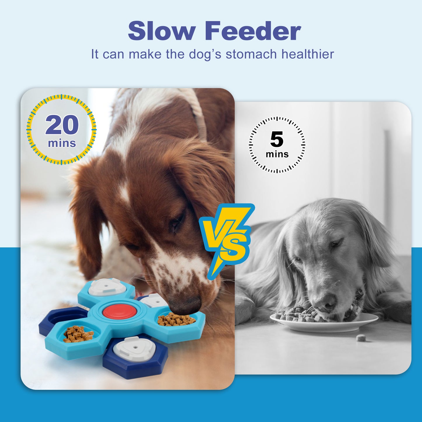 Educational pet toy multi-layer rotating turntable slow food tray training dog foraging toy