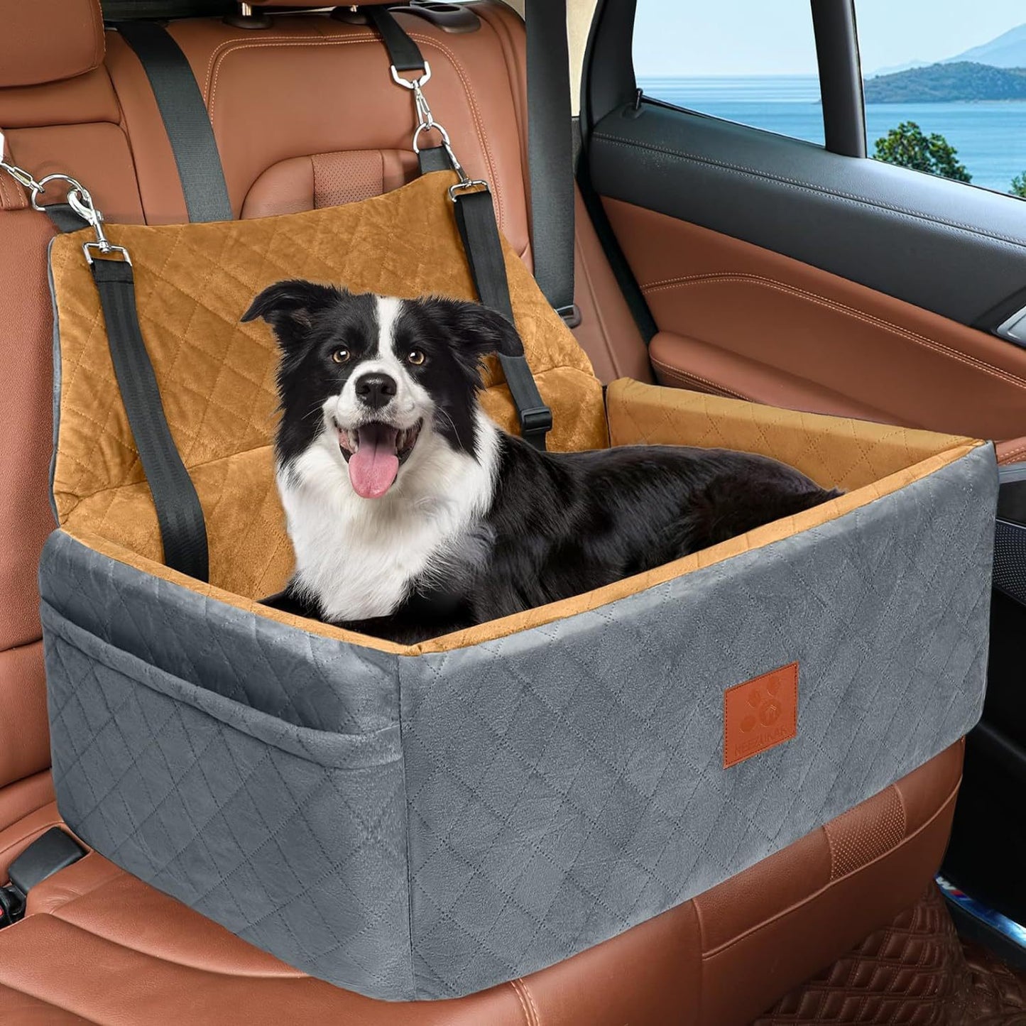 Large capacity kennel detachable portable car seat