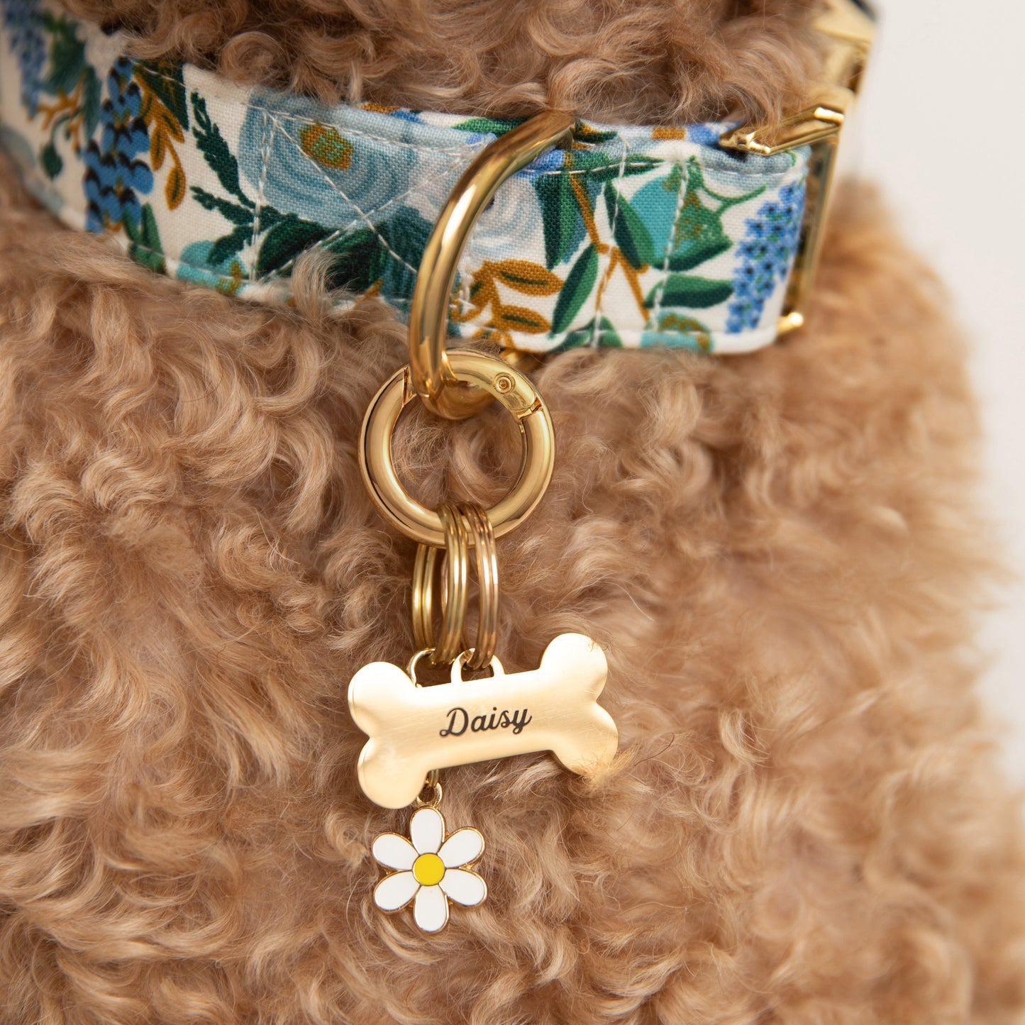 Bone Pet ID Tag