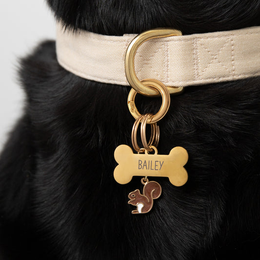 Bone Pet ID Tag
