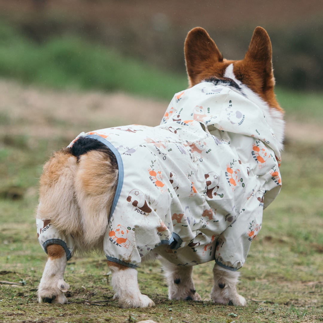 Pet Reversible Raincoat