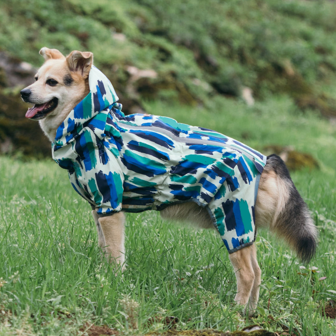 Pet Reversible Raincoat