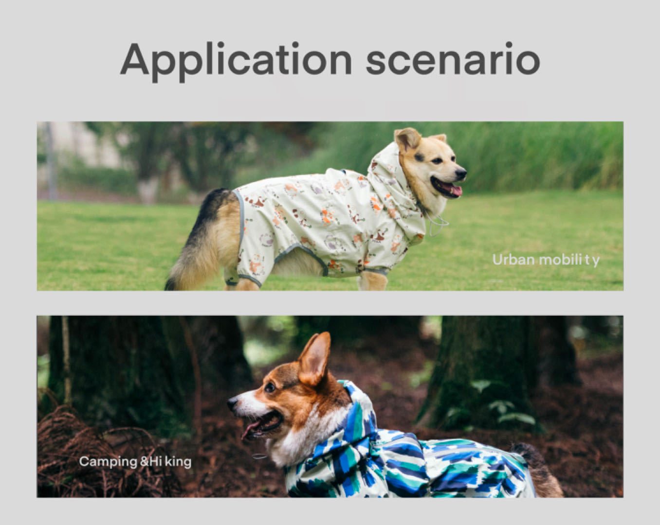 Pet Reversible Raincoat