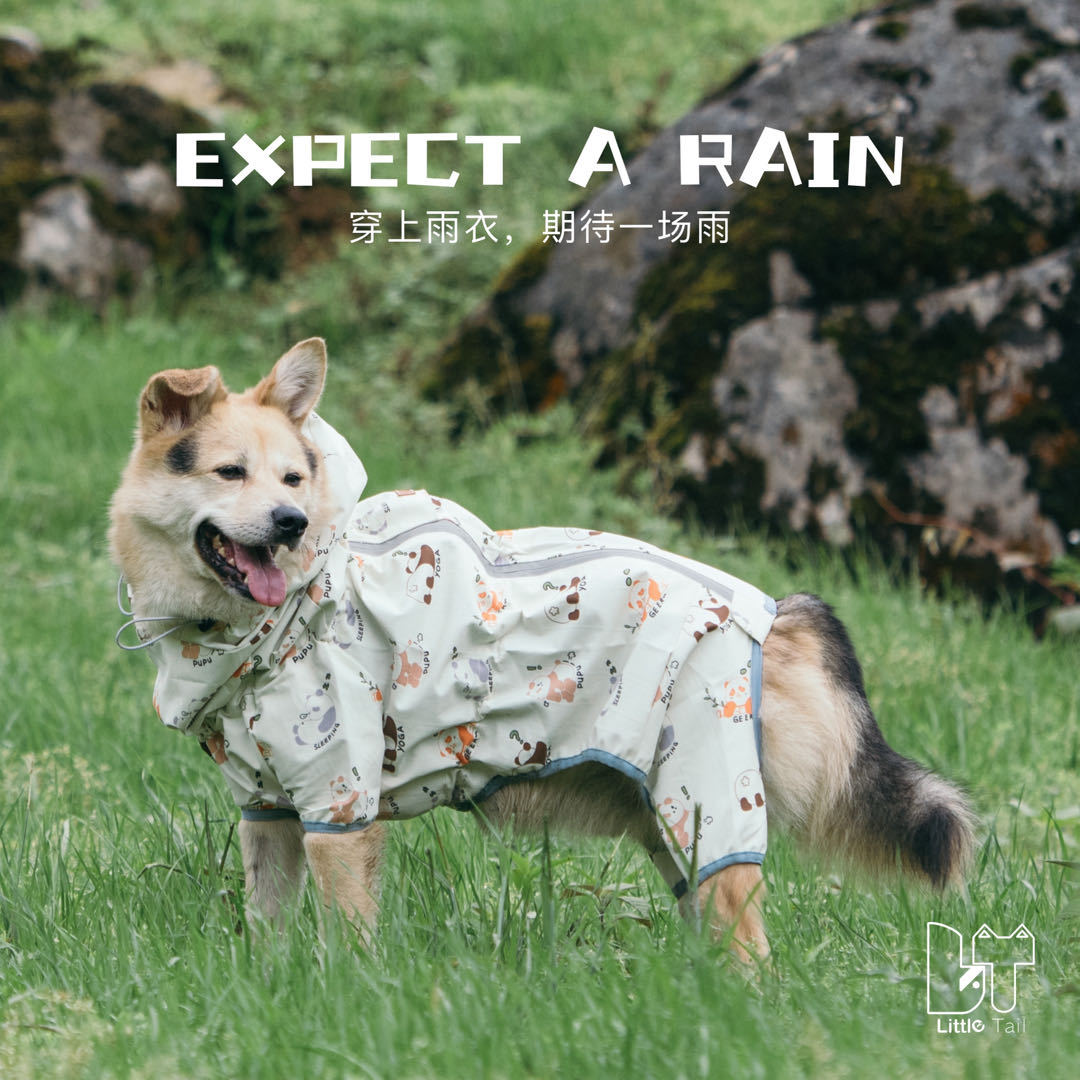 Pet Reversible Raincoat