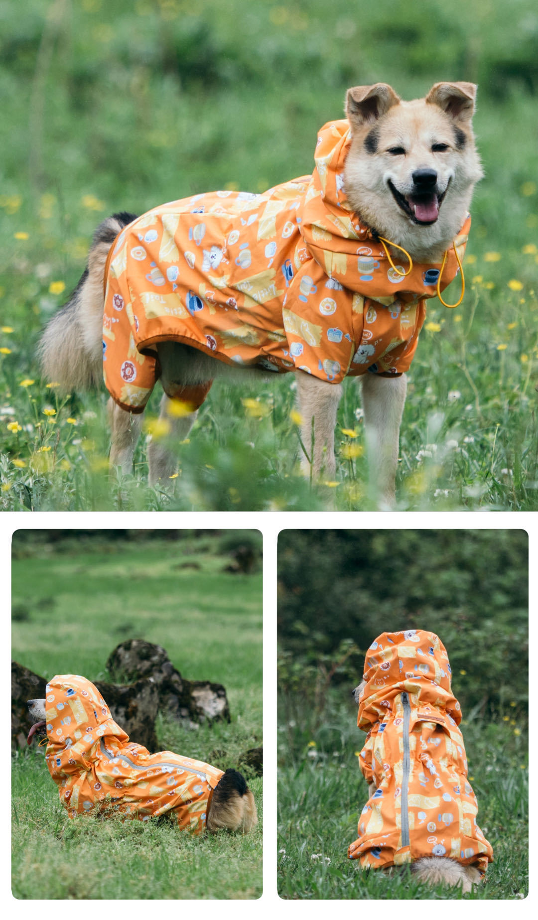 Pet Reversible Raincoat