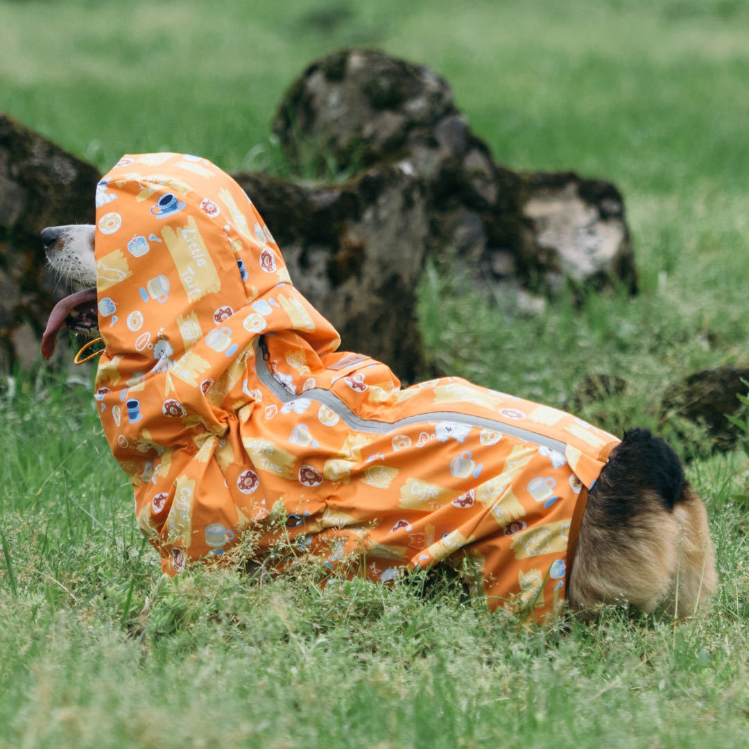 Pet Reversible Raincoat