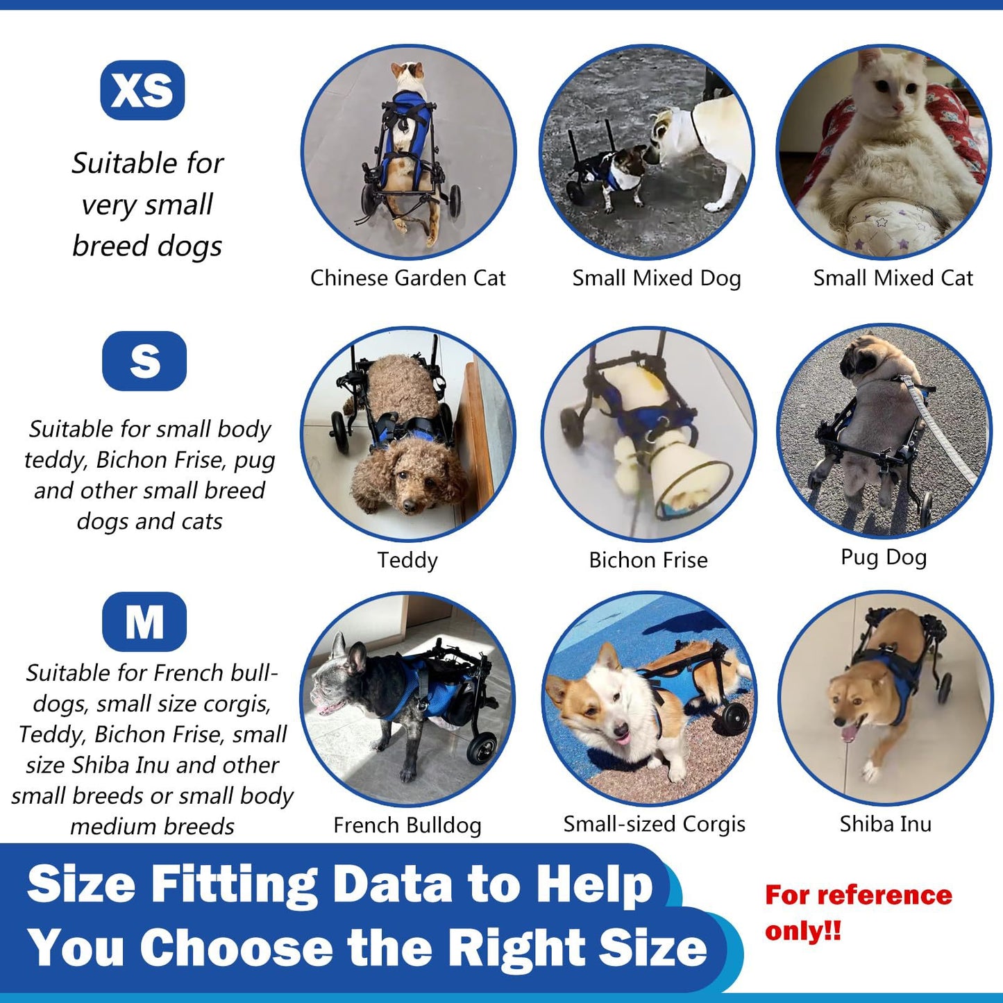 Pet rehabilitation walker