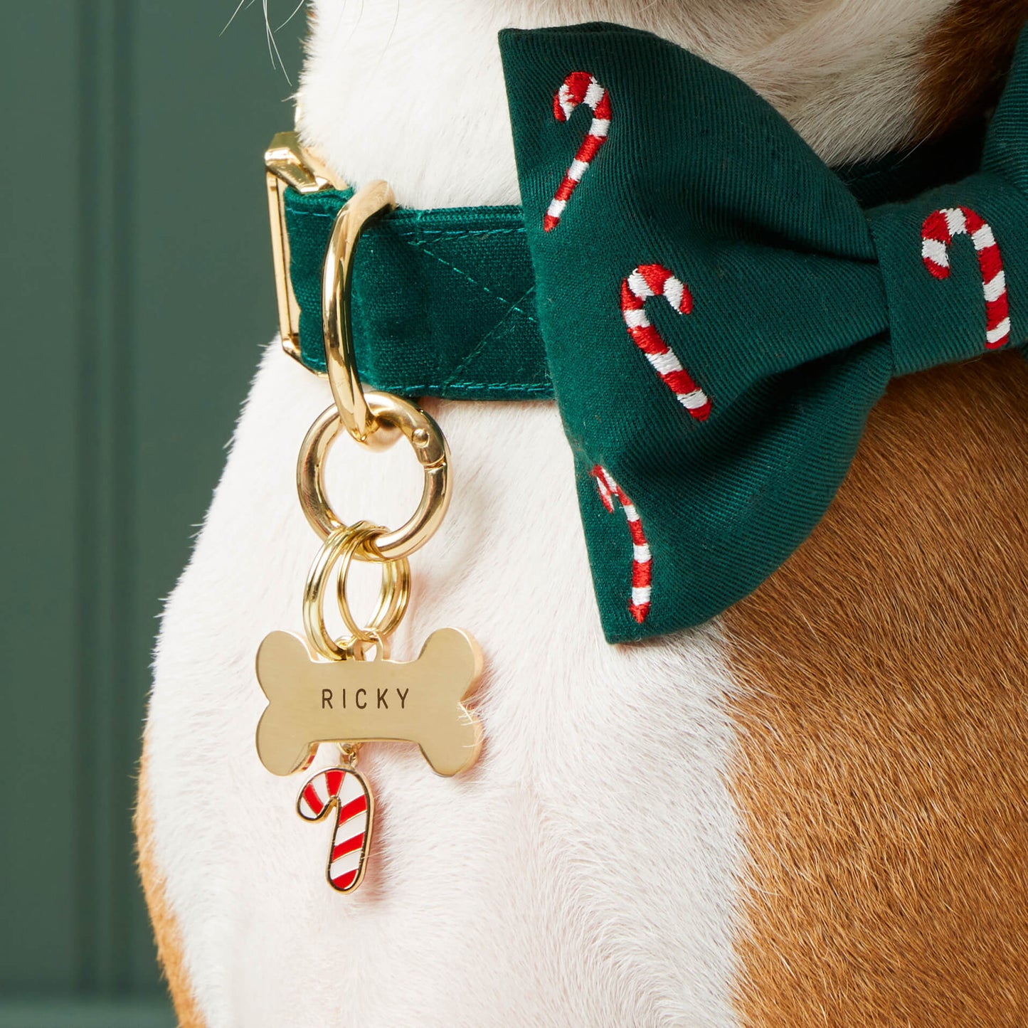 Bone Pet ID Tag