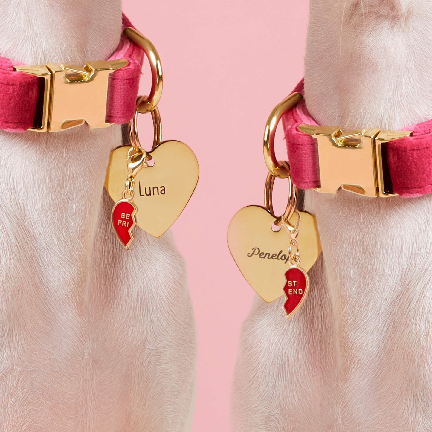 Heart Pet ID Tag