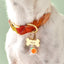 Bone Pet ID Tag