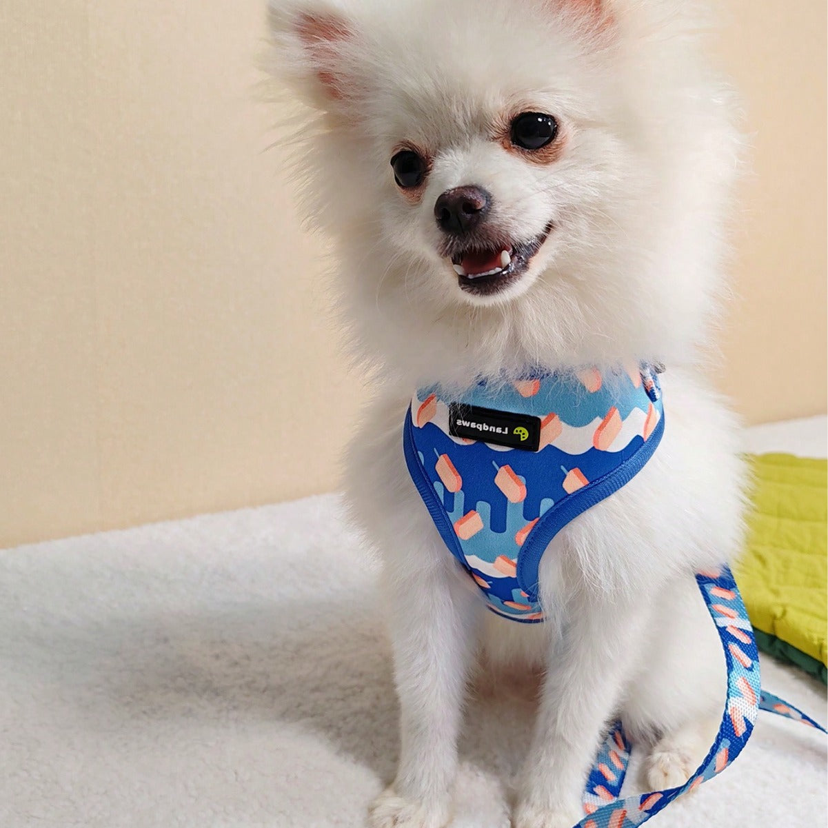 The Tropical Treats No-Pull Harness