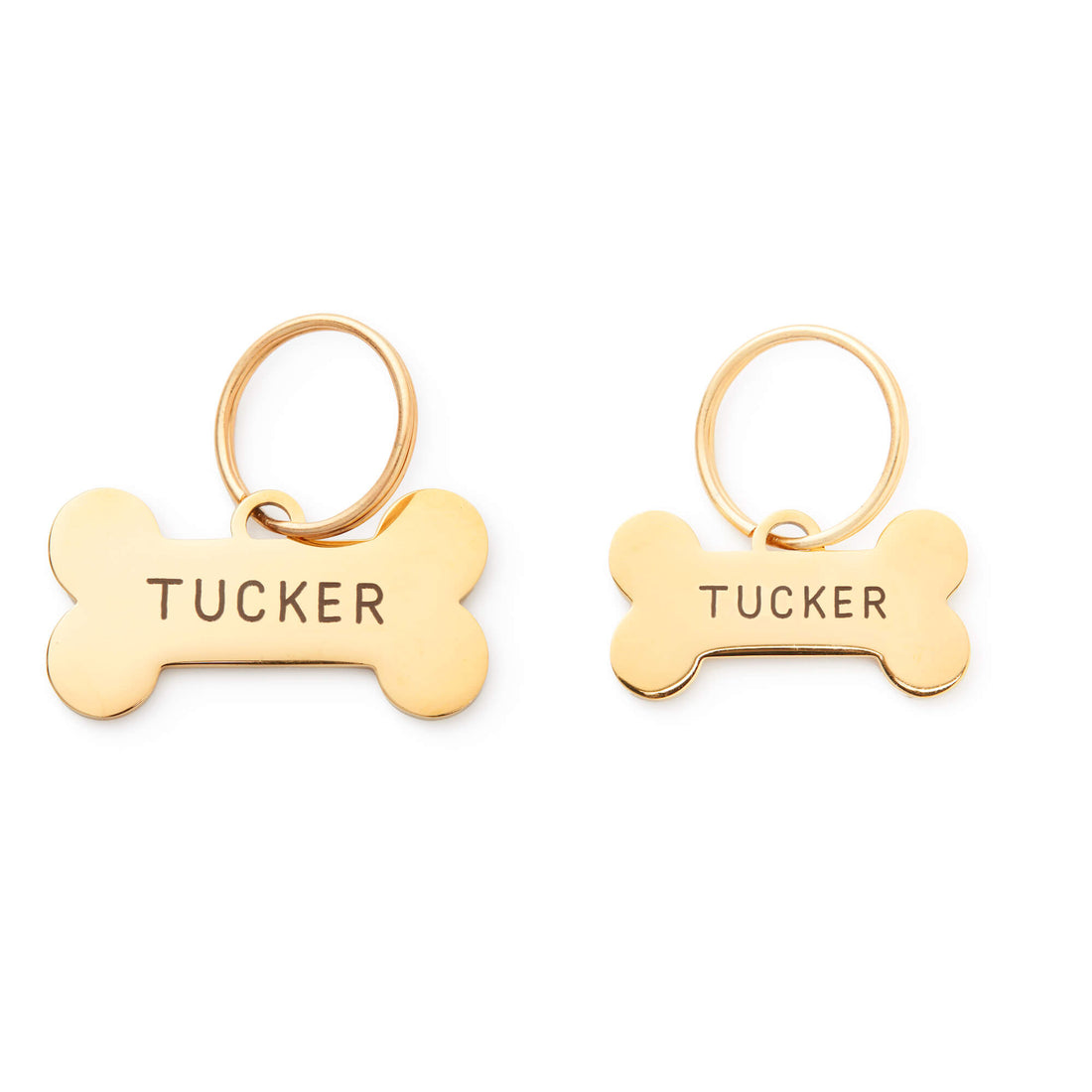 Bone Pet ID Tag