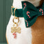 Bone Pet ID Tag